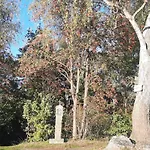 Haus Amann Prackenbach