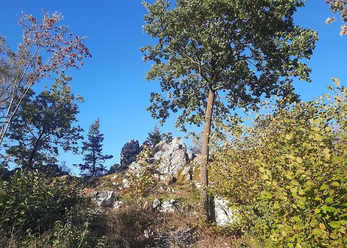Haus Amann Lejlighed Prackenbach